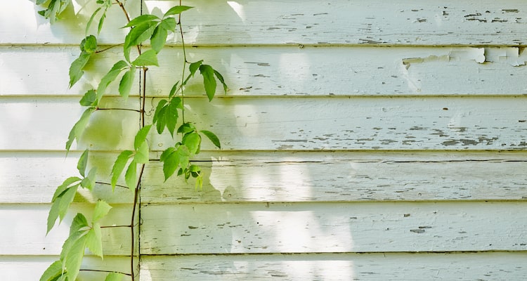 Exterior Wall